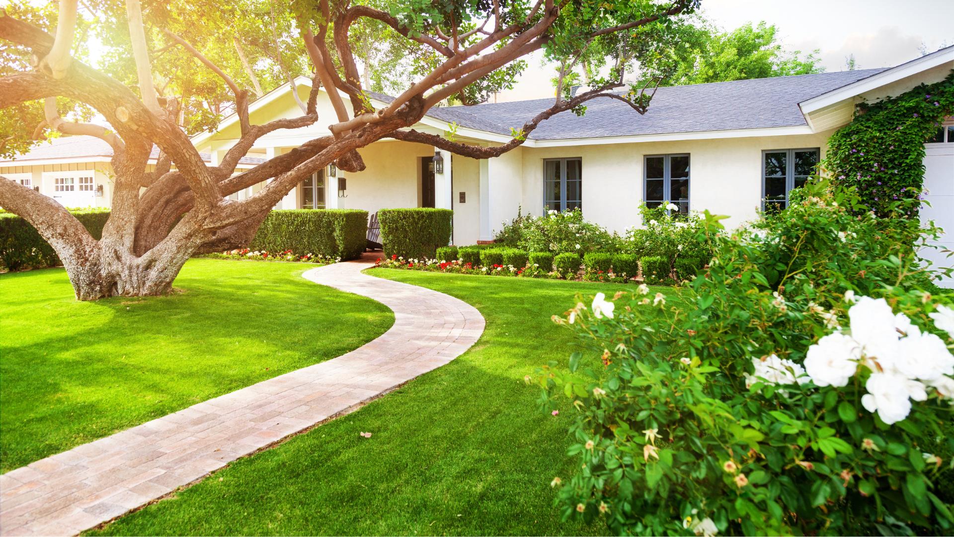 Residential and Commercial Landscaping
