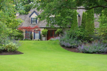 How To Find The Perfect Landscaping Contractor For Your Home Or Business